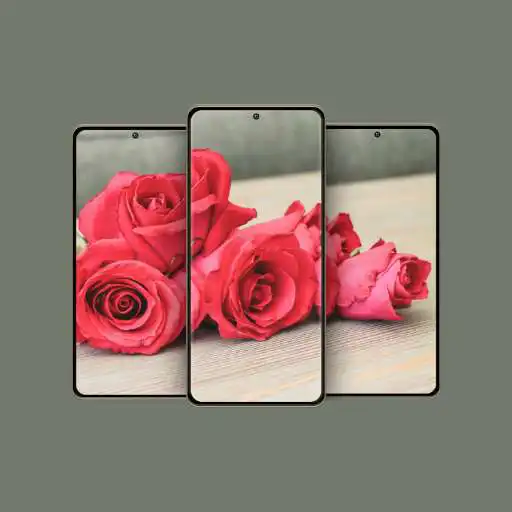 Play 4K AMOLED Flowers Live HD Wallpaper & Backgrounds APK