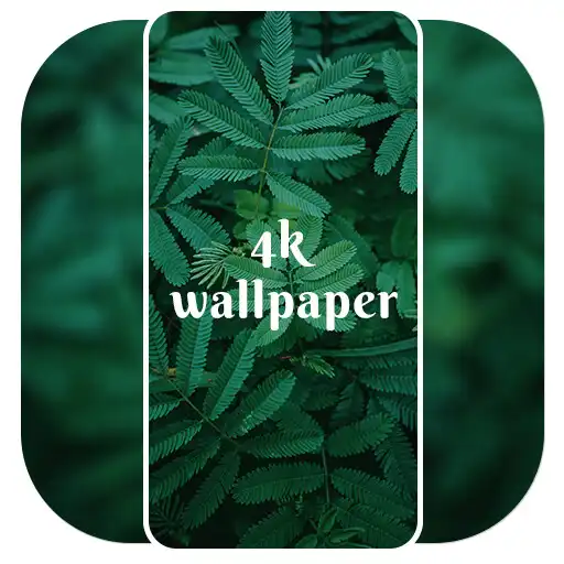 Play 4K Wallpaper - Live Wallpapers APK