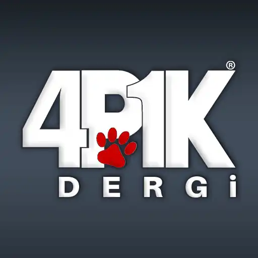 Play 4P1K Dergi APK