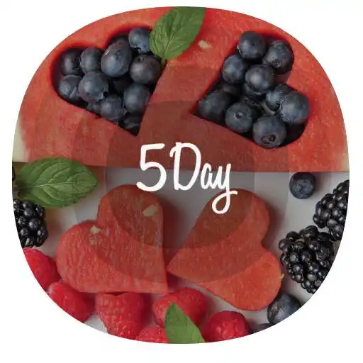 Play 5 Day Super Diet Plan APK