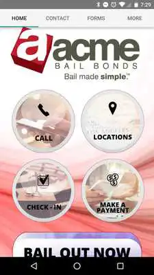 Play Acme Bail Bonds