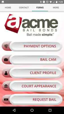 Play Acme Bail Bonds