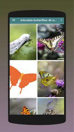 Play Adorable butterflies 4k wallpaper as an online game Adorable butterflies 4k wallpaper with UptoPlay