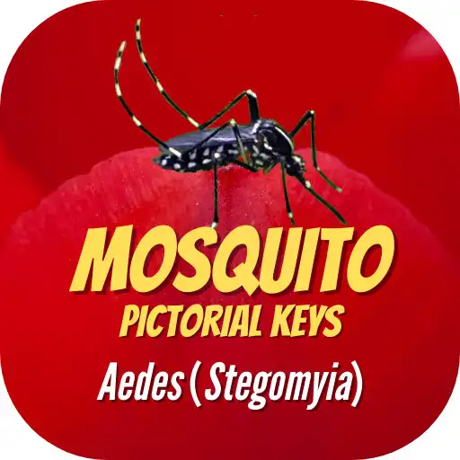 Play Aedes (Mosquito Pictorial Keys) adult APK