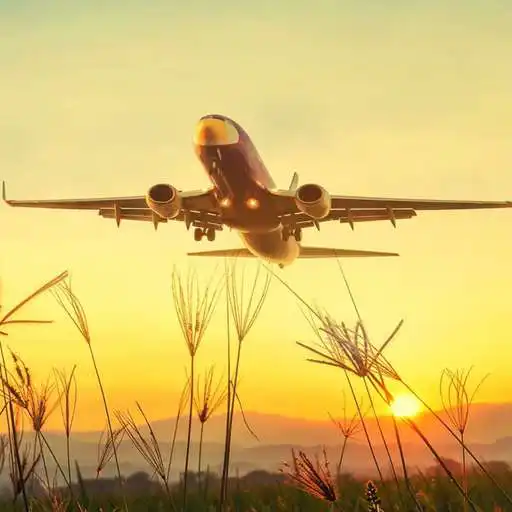 Play Aeroplane Wallpapers APK