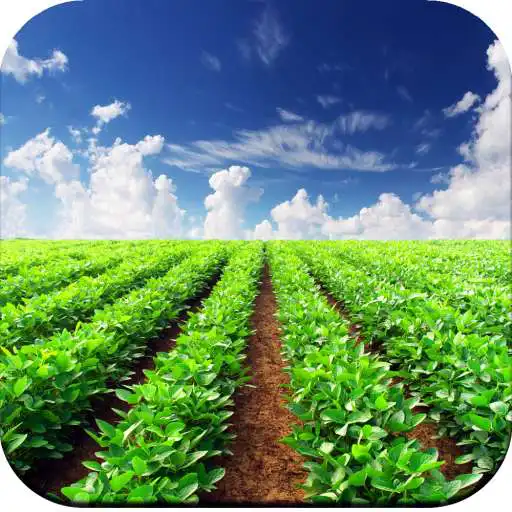 Play Agriculture Wallpaper HD APK