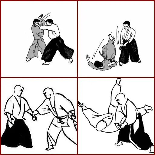 Free play online Aikido Technique APK