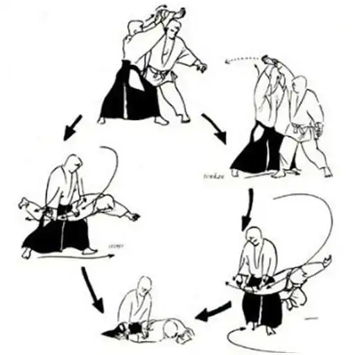 Play Aikido Technique