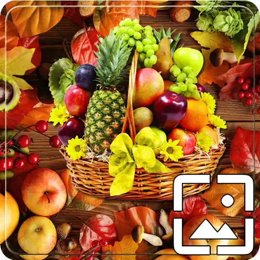 Play All Fruits Wallpapers Hd APK