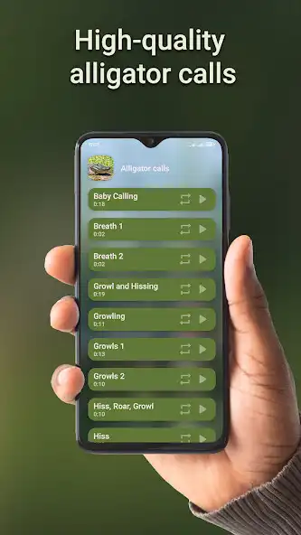 Play Alligator hunting calls  and enjoy Alligator hunting calls with UptoPlay