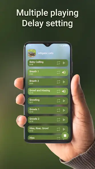 Play Alligator hunting calls as an online game Alligator hunting calls with UptoPlay