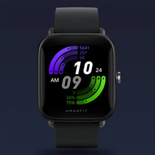 Play Amazfit Bip Lite / S Watchface APK