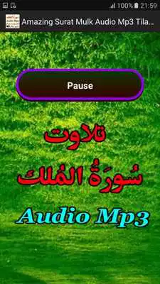 Play Amazing Surat Mulk Audio Mp3