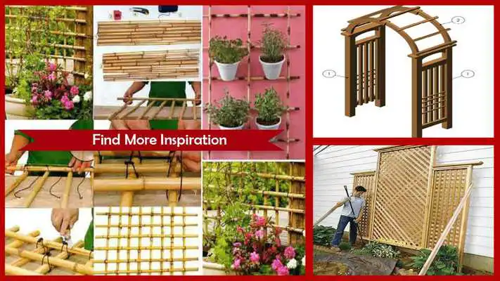 Play Amazing Trellis Design Ideas