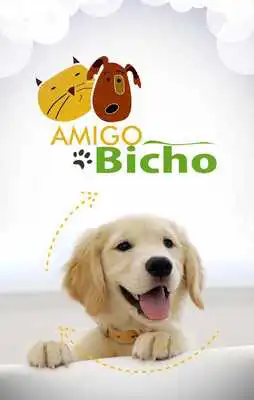 Play Amigo Bicho