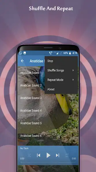 Play Anatidae Sounds as an online game Anatidae Sounds with UptoPlay