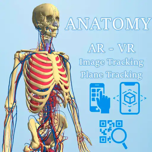 Play Anatomy AR - A view of the human body in real life APK