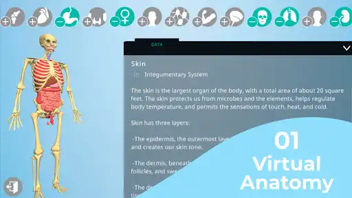 Play Anatomy AR - A view of the human body in real life  and enjoy Anatomy AR - A view of the human body in real life with UptoPlay