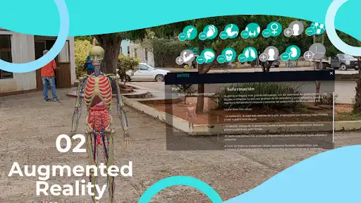 Play Anatomy AR - A view of the human body in real life as an online game Anatomy AR - A view of the human body in real life with UptoPlay