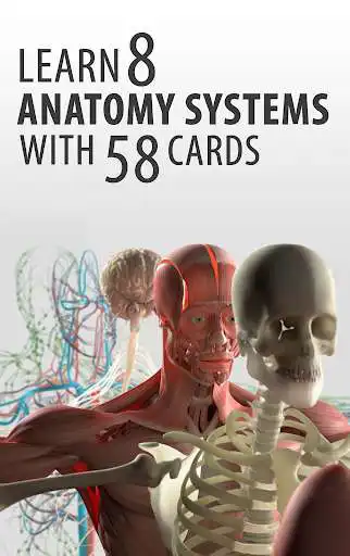 Play Anatomy Cards Anatomicus  and enjoy Anatomy Cards Anatomicus with UptoPlay