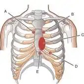 Free play online Anatomy Embryology QA Review APK