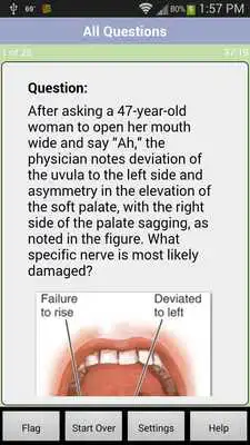 Play Anatomy Embryology QA Review