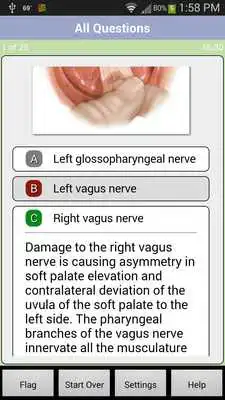 Play Anatomy Embryology QA Review