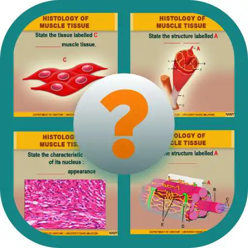 Play Anatomy Online Quiz: Histology Of Muscle Tissue APK