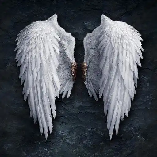 Run free android online Angels Wallpapers APK