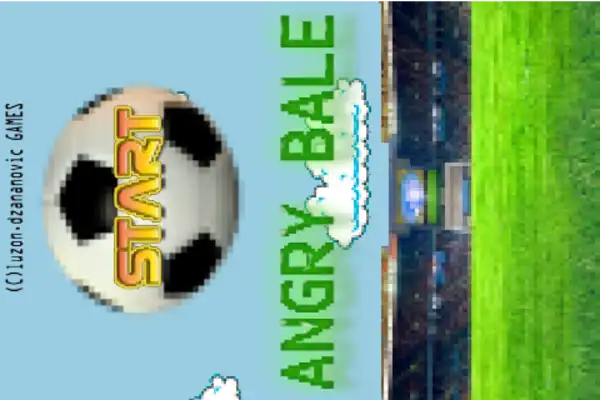 Play Angry Bale