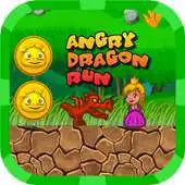 Free play online Angry Dragon Run for Princess APK