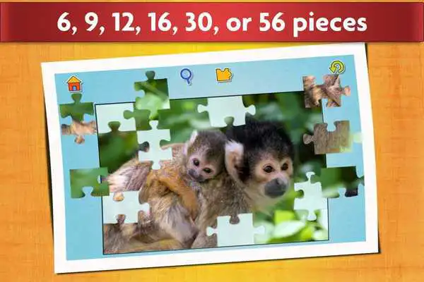 Play Animal Babies Jigsaw Puzzles Game - Kids  Adults