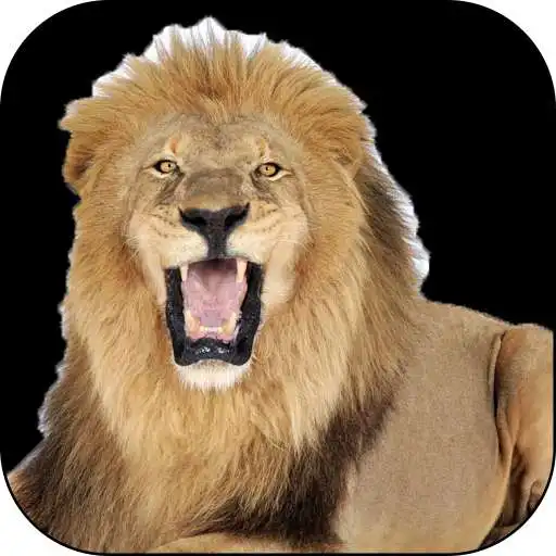 Free play online Animal Behavior APK