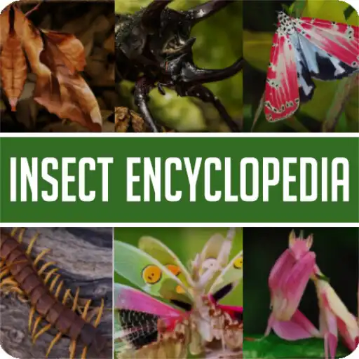 Play Animal Encyclopedia of Insects APK