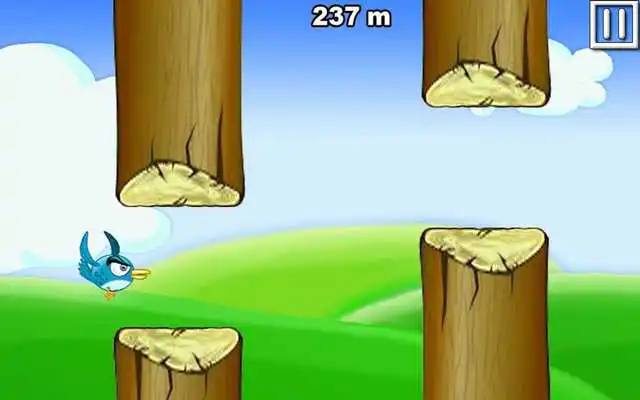 Play Animal Flight