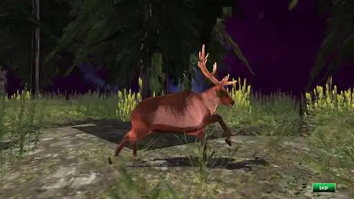 Play Animal Hunting World Shooting  and enjoy Animal Hunting World Shooting with UptoPlay