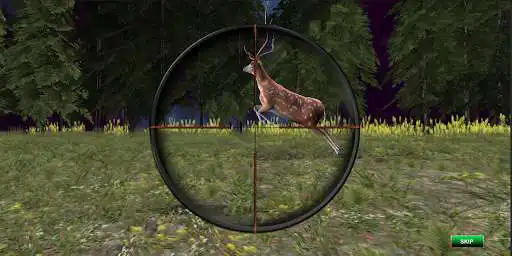 Play Animal Hunting World Shooting as an online game Animal Hunting World Shooting with UptoPlay