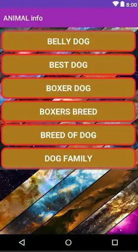 Play Animal Info  and enjoy Animal Info with UptoPlay