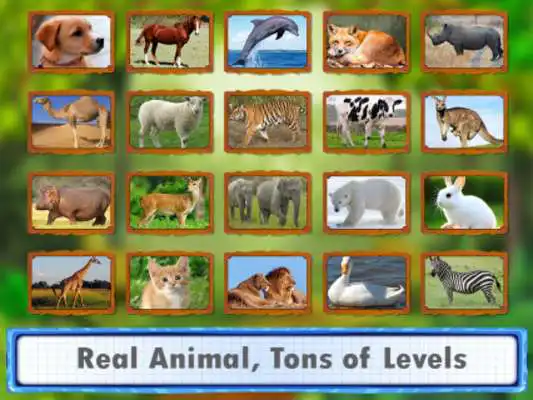 Play Animal Jigsaw Puzzles DayCare