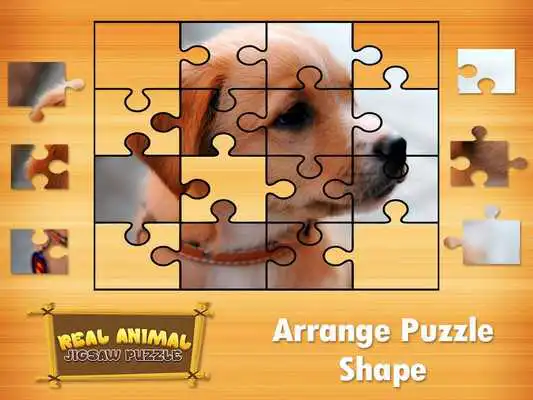 Play Animal Jigsaw Puzzles DayCare