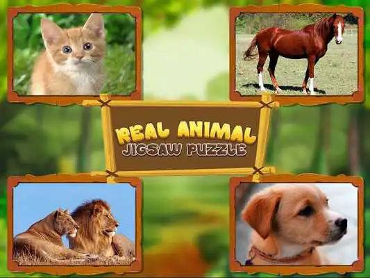 Play Animal Jigsaw Puzzles DayCare