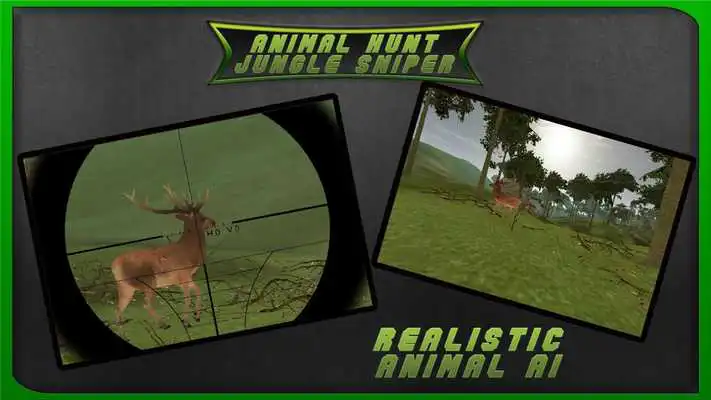 Play Animal Jungle Hunting 3D