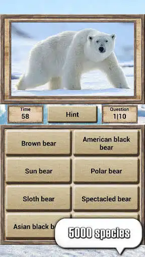 Play Animal Kingdom - Quiz Game as an online game Animal Kingdom - Quiz Game with UptoPlay