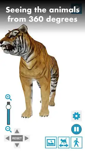 Play Animal Pose Collection  and enjoy Animal Pose Collection with UptoPlay