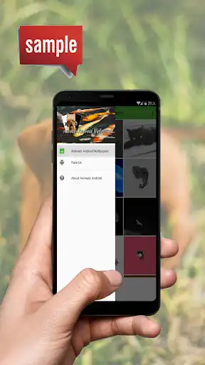 Play Animals Android Wallpapers  and enjoy Animals Android Wallpapers with UptoPlay