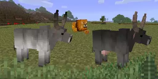 Play Animals Mod for Minecraft as an online game Animals Mod for Minecraft with UptoPlay