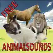 Free play online AnimalSoundsForBaby - Baby Zoo APK