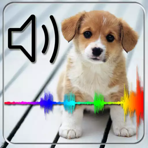 Run free android online Animal sounds for kids APK