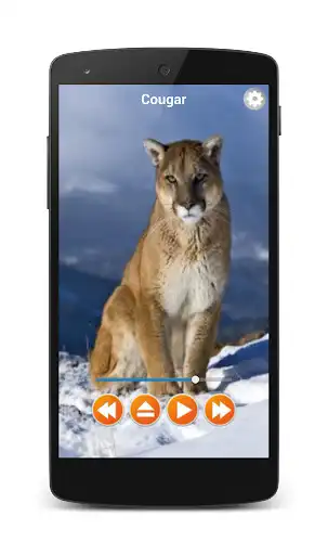 Play Animal Sounds Offline  and enjoy Animal Sounds Offline with UptoPlay