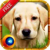 Free play online Animal Sounds  Pictures Kids APK